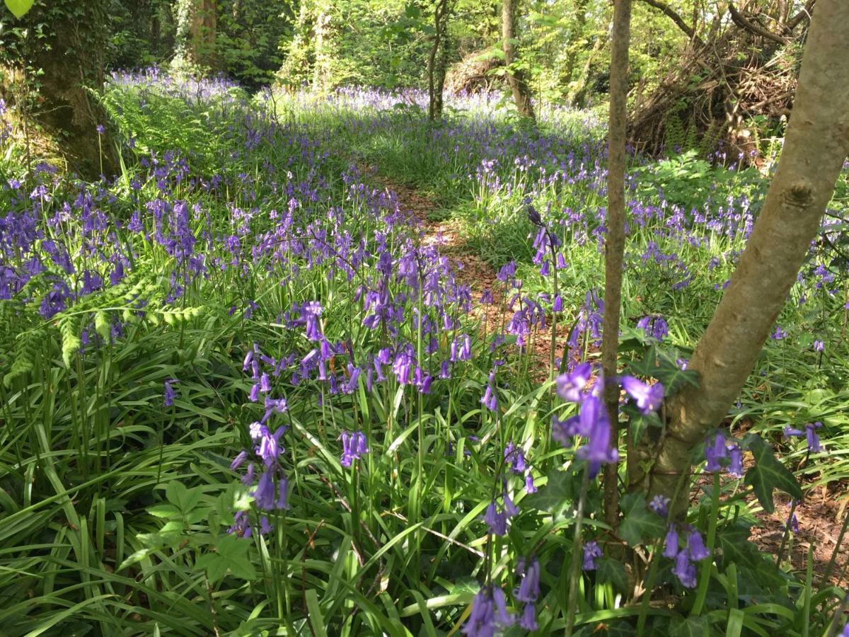 Blackhill Woods Retreat *
